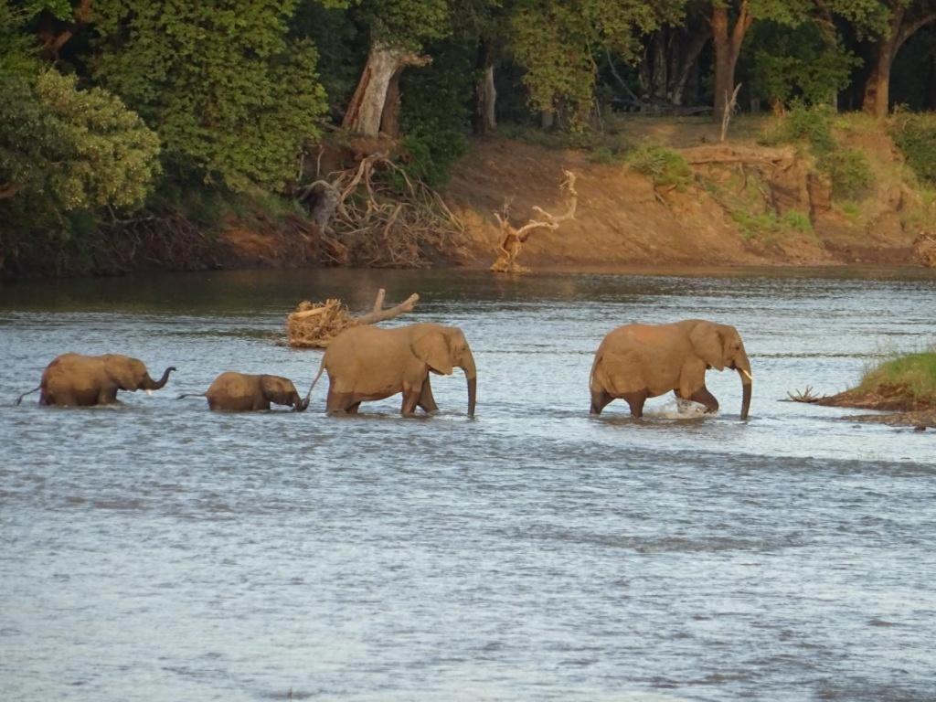 Limpokwena Nature Reserve Tokio Bagian luar foto