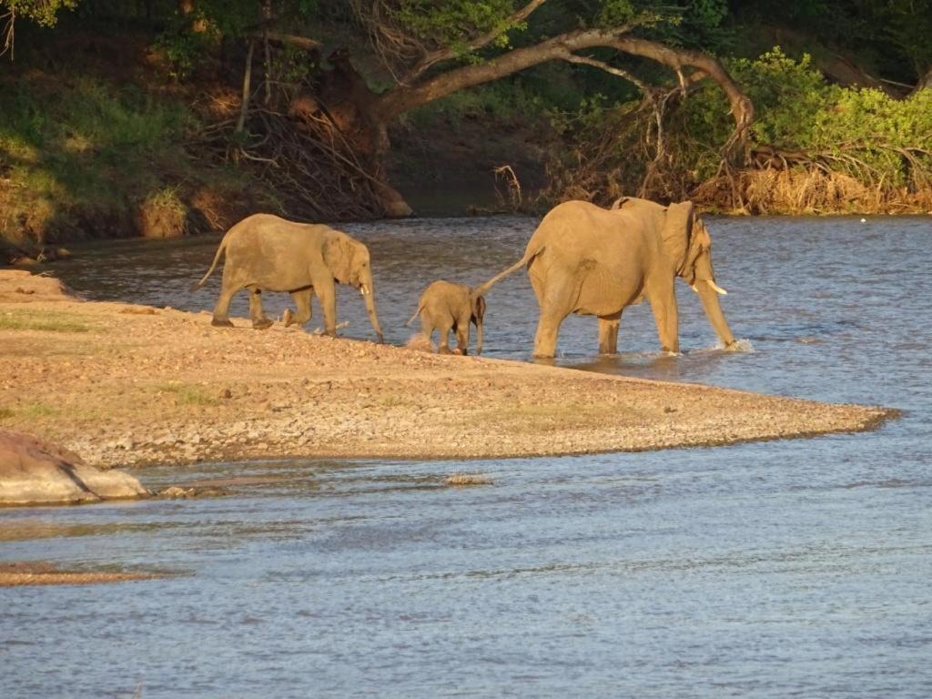 Limpokwena Nature Reserve Tokio Bagian luar foto